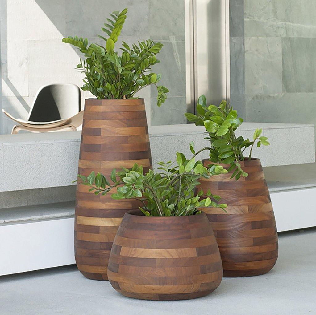 Indigenus Planters