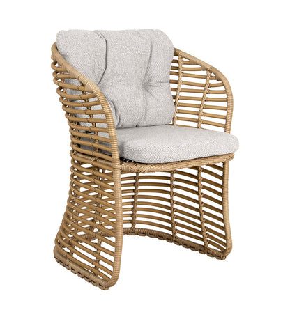 Basket Chair