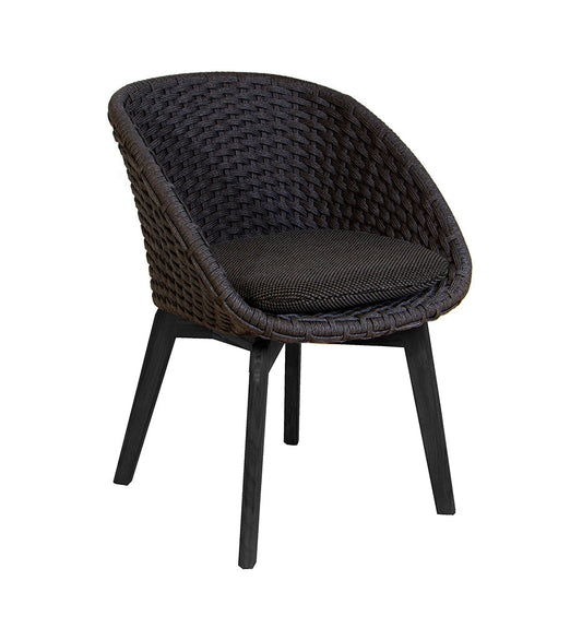 Peacock Chair w/ Black Aluminum Legs