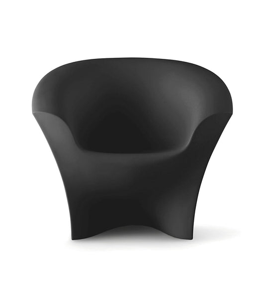 Ohla Arm Chair