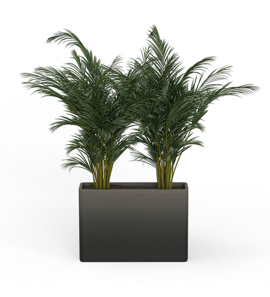 Avila X-Large Rectangular Planter - Stacks -